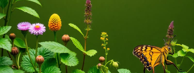 Introducción a la Botánica