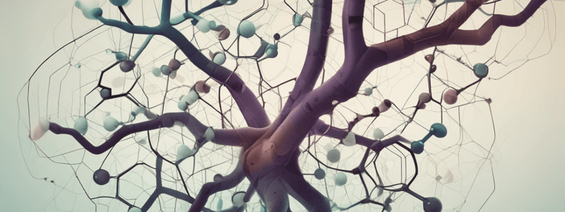 Branches of Chemistry