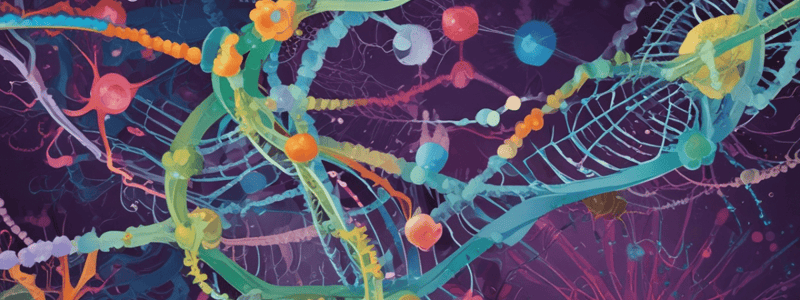 Operon Regulation in E. coli