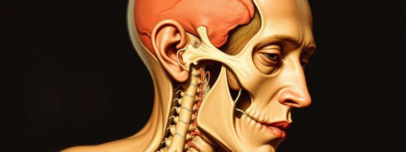 Parasympathetic Nervous System Overview