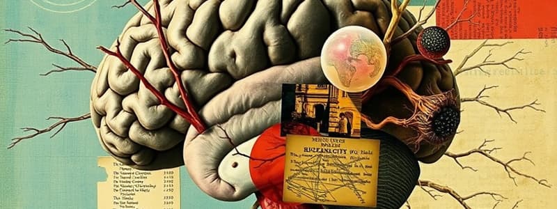 Neuroscience Basics Quiz