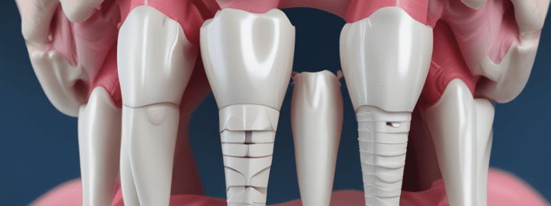 Dental Anatomy: Maxillary First Premolars