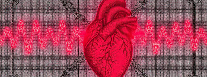 ECG Interpretation Basics