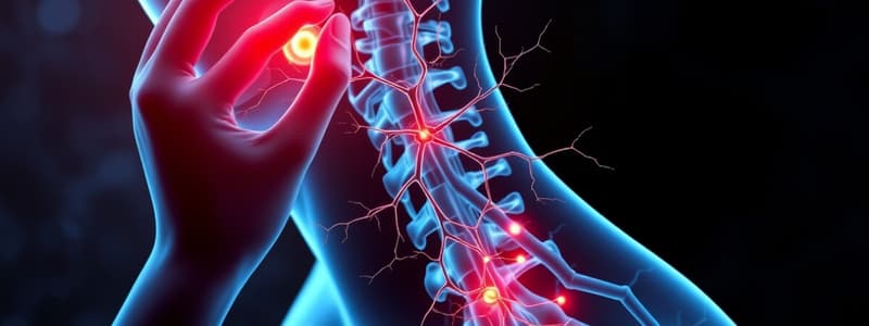 Pain Modulation Overview