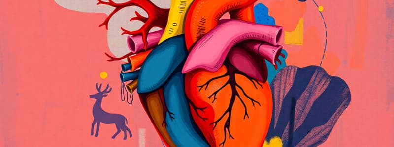 The Cardiovascular System Overview