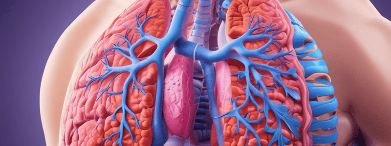 Lung Function Tests and Allergy Diagnostics Quiz