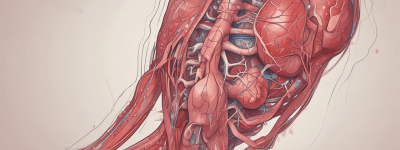 Takayasu Arteritis and Polyarteritis Nodosa