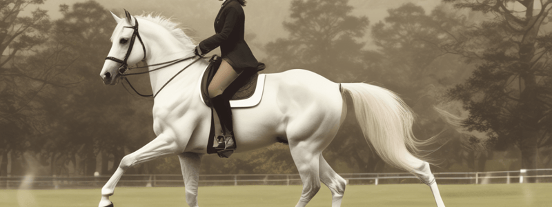 Grundübungen zum dressurmäßigen Reiten