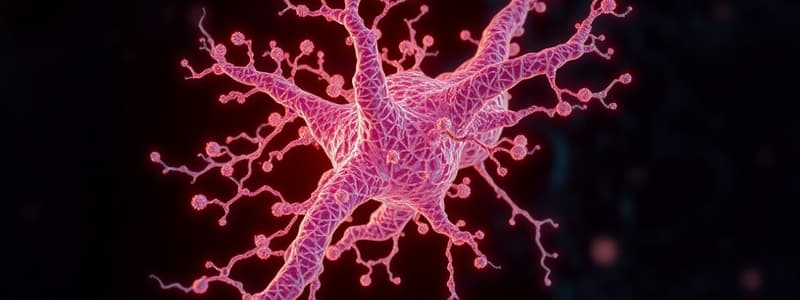 Extracellular Matrix and Connective Tissue 3