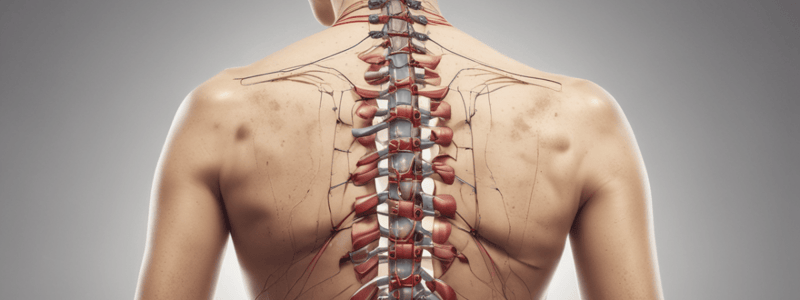 Assessment of Dorso-Lumbar Spine: Low Back Pain