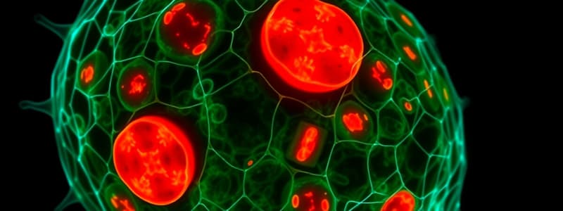 Cell Organelles: Mitochondria and Peroxisomes