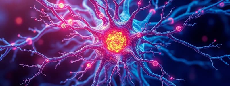 Neuroscience Quiz: Neurons and Communication