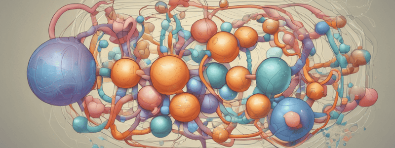 Lecture 2.2 - energy production (carbohydrate 3 and lipids)