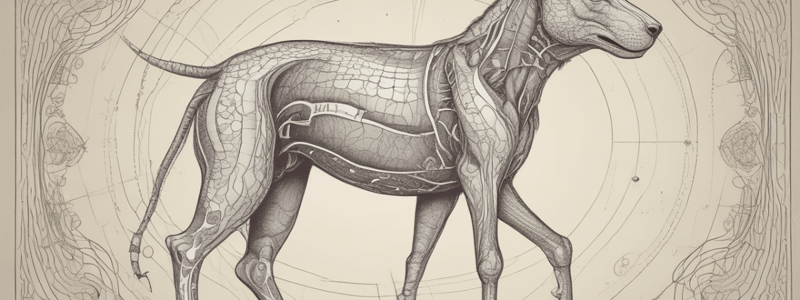 Nervous System: Lecture 1