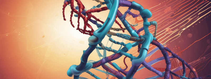 Molecular Biology Quiz: DNA Repair and Mutations