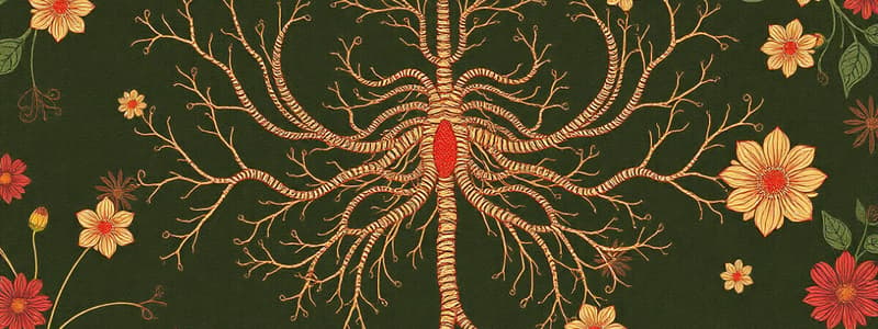 Autonomic Nervous System Quiz