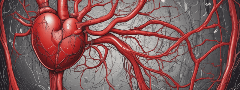 Cardiovascular System Structure