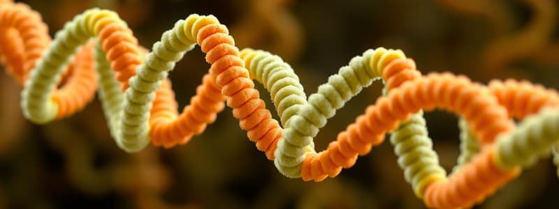 Biology Chapter 12: Protein Synthesis