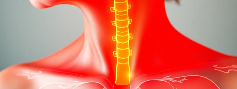 Endocrine System and Thyroid Disorders Quiz