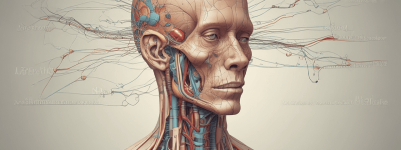 Cranial Nerves and Functions