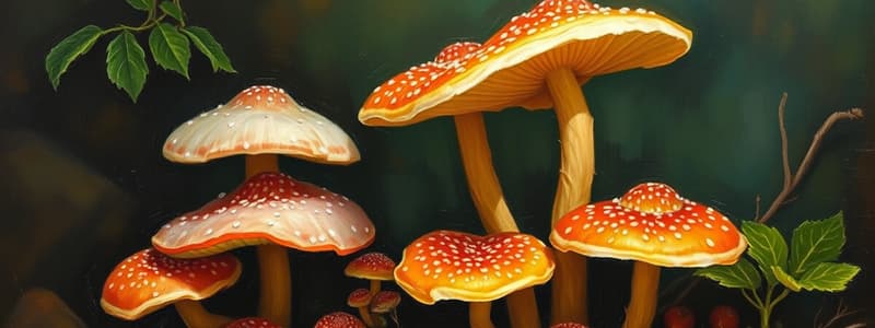 Fungi Questions for Plant Biology Exam 1