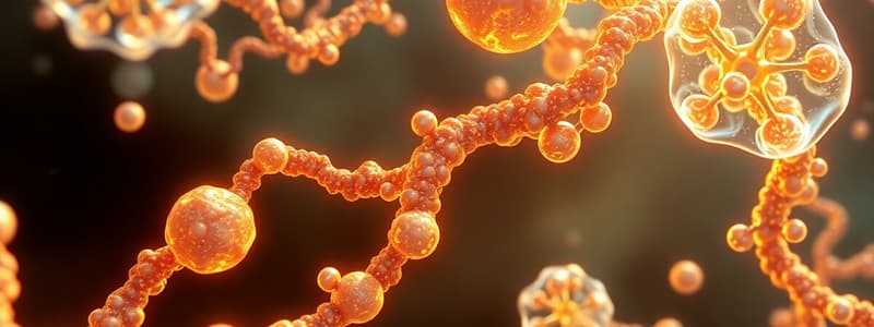 Carbohydrate Functions and Classifications