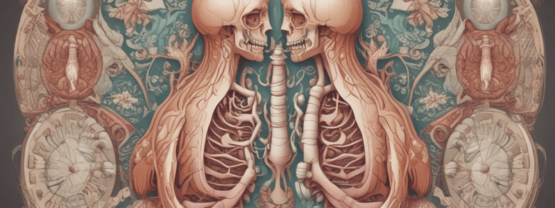 Respiratory System Development