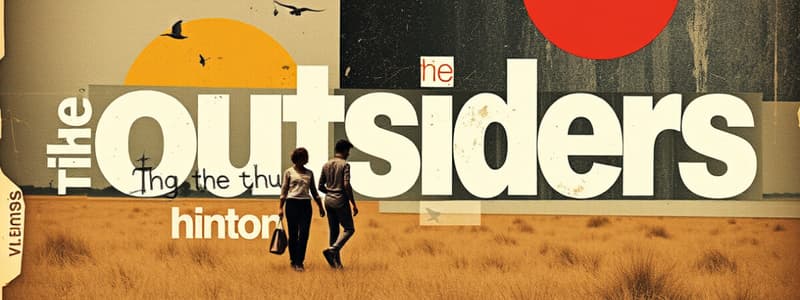 The Outsiders Chapter Overview