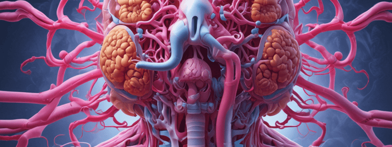 Respiratory System Chapter 22 Quiz: Organs and Structures