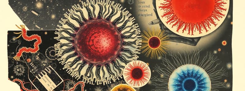 Biology: Eukaryotic vs Prokaryotic Cells