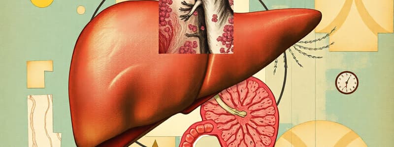 Lecture 13: Histology of Liver, Gallbladder, and Pancreas