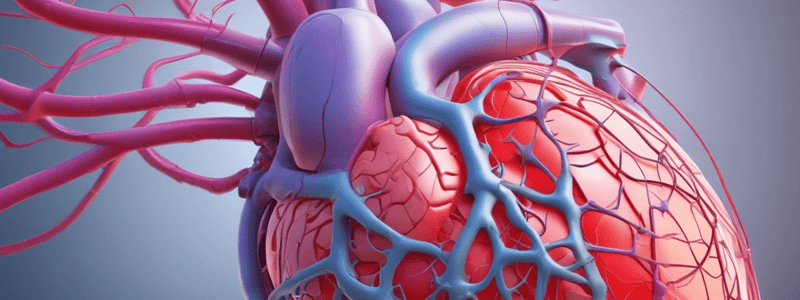 Cardiac Cycle: Phases and Pressure Changes