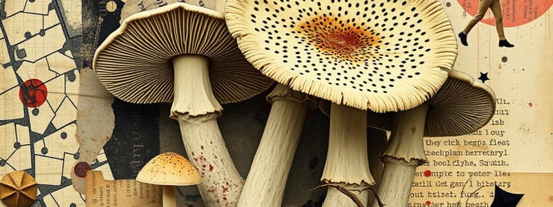 General Characteristics of Fungi