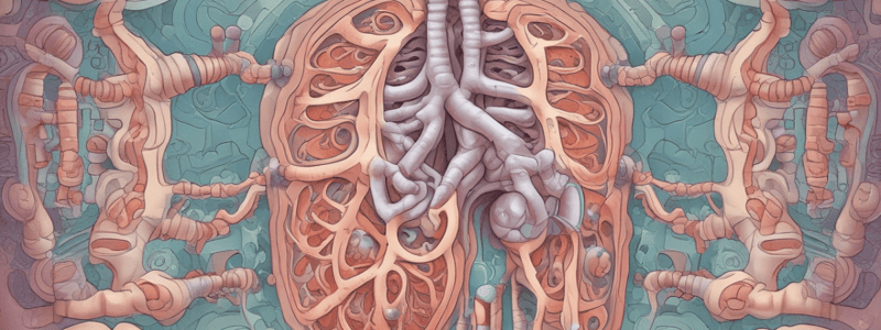 COPD: Beta-Adrenergic Agonists and Bronchodilators