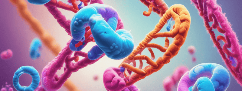 Chromosome Non-Disjunction in Meiosis