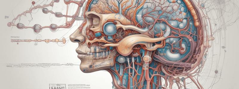 Diploma in Healthcare: Unit 8 - Autonomic Nervous System