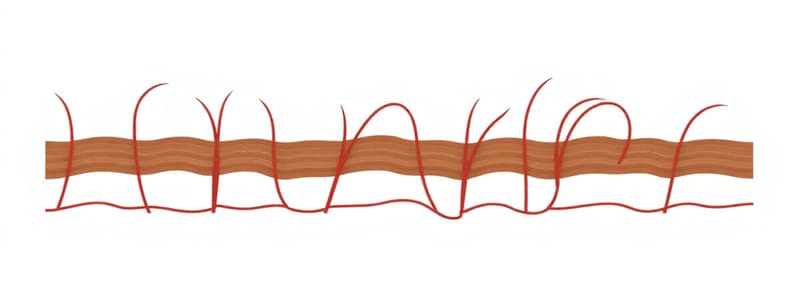 Bio 201 Module 2   Integumentary system  Hair Types and Structure part 2