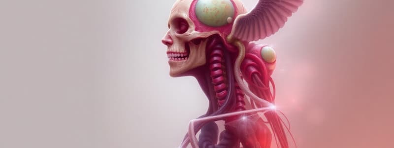 Anatomie et Physiologie - Concepts de Base