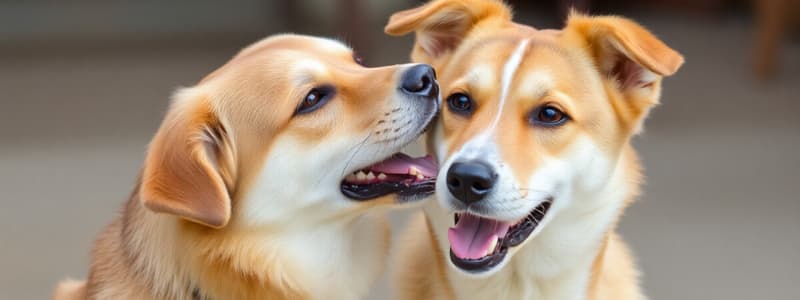 Understanding Dog Behavior and Breeds