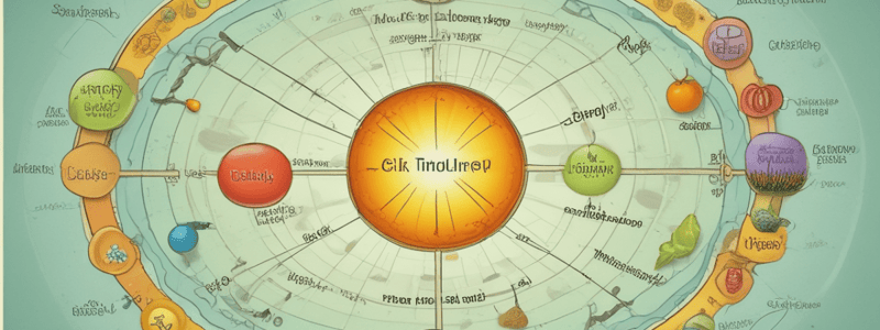 Krebs cycle