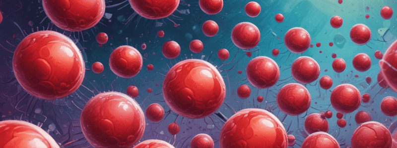 Blood Cells Types and Functions