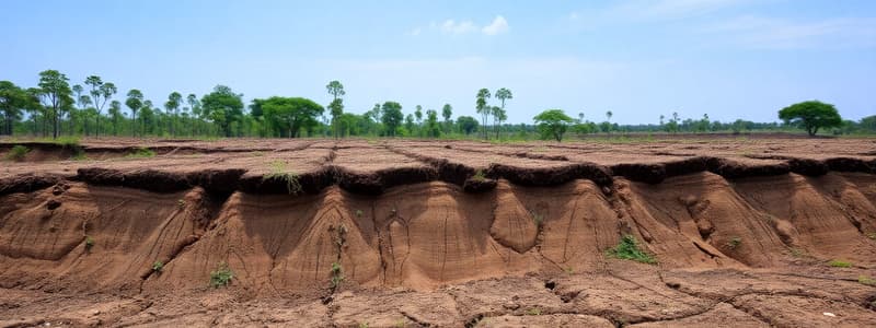 Deforestation & Agriculture Impact