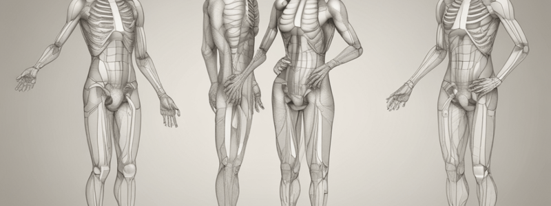 Hip Special Test Clarification