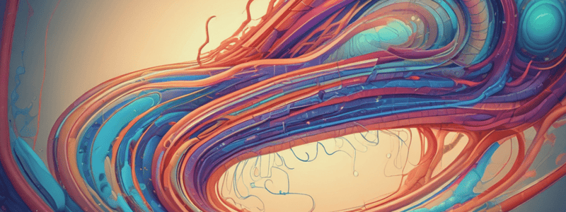 Nephron Parts and Reabsorption