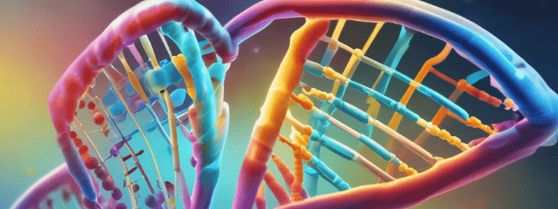 Chapter 7: DNA Structure and Replication Quiz