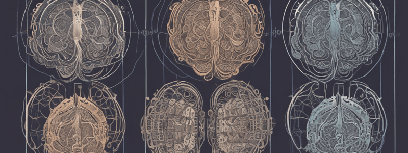 Early Theories of Brain Functioning