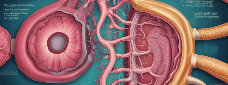 TEMA 2: Clasificación de Gastritis en Patología Digestiva