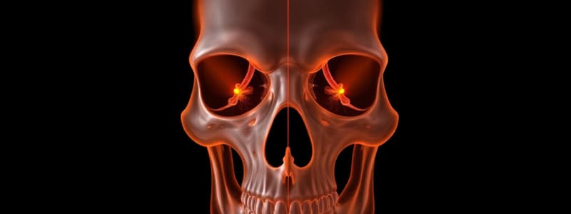 Lateral Facial Bones Imaging Quiz