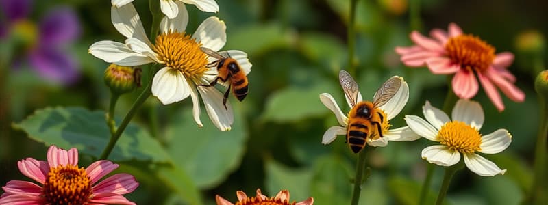 The Busy Bee: A Garden Adventure