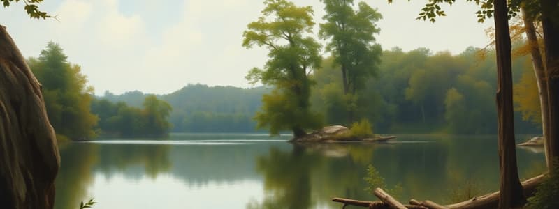 Walden Pond: Thoreau's Philosophy